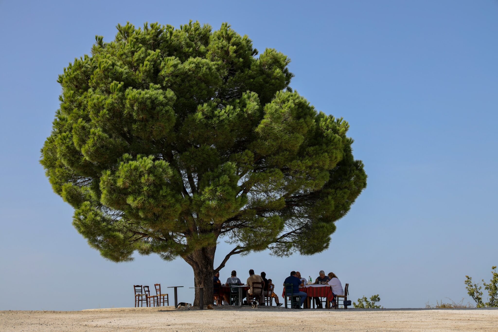 crete annual tourism