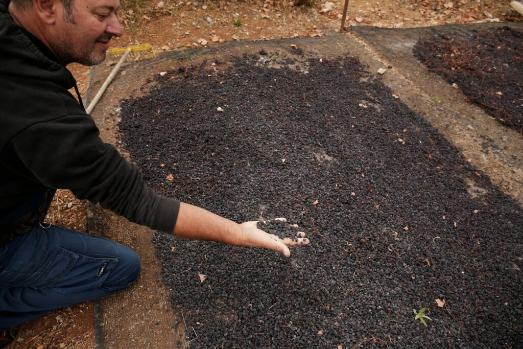 The secrets of Greek raisins, a wonderful superfood full of valuable