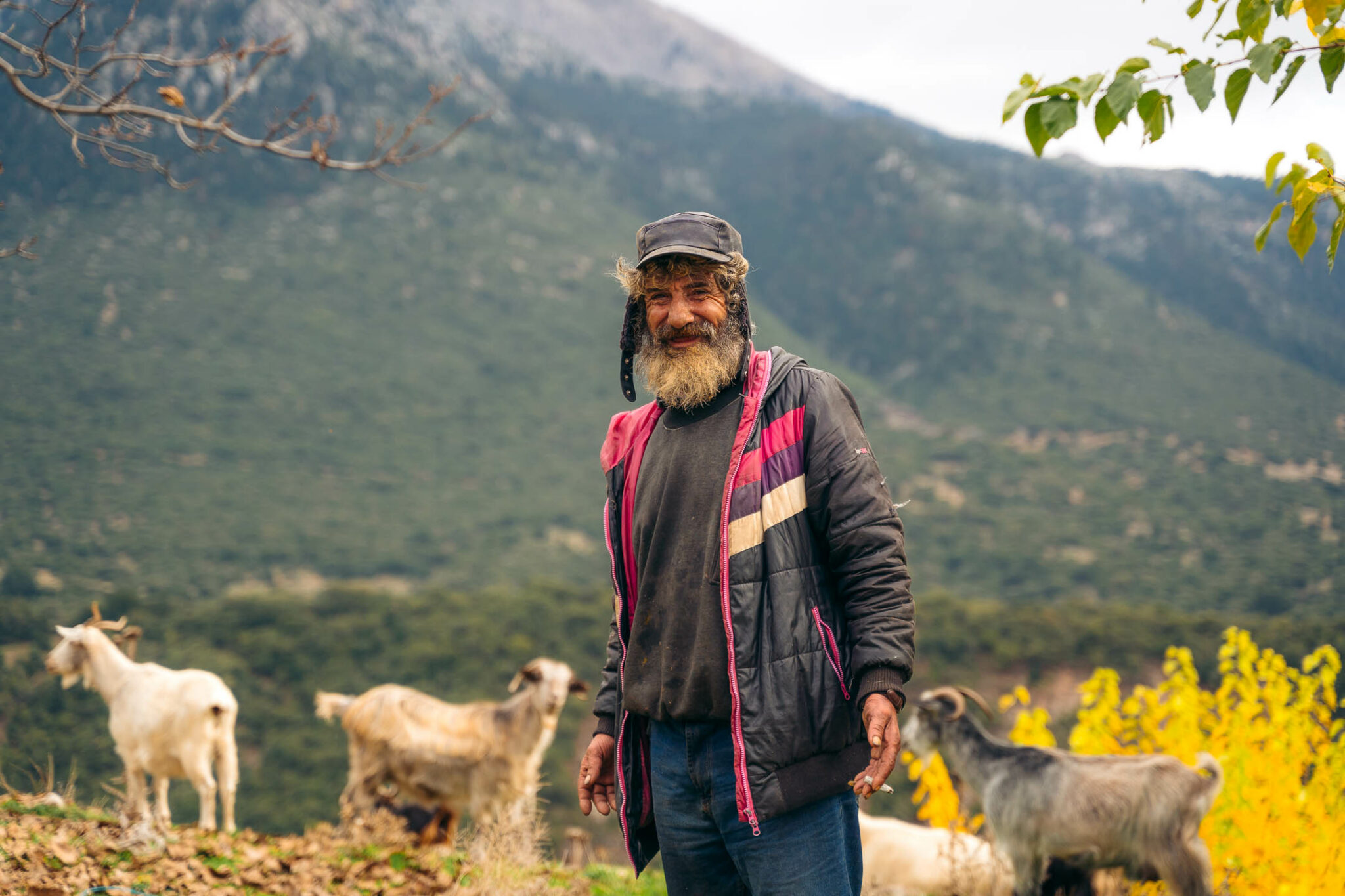 72 ώρες στα Καλάβρυτα: Η μαγεία της φύσης σε ένα υπέροχο road trip