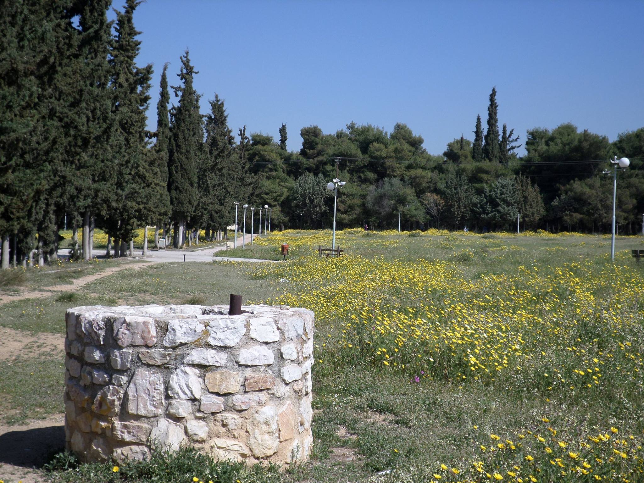 Πέντε καταπράσινα πάρκα στην Αθήνα και τα περίχωρά της για πικνίκ και σπορ – Greek City Times