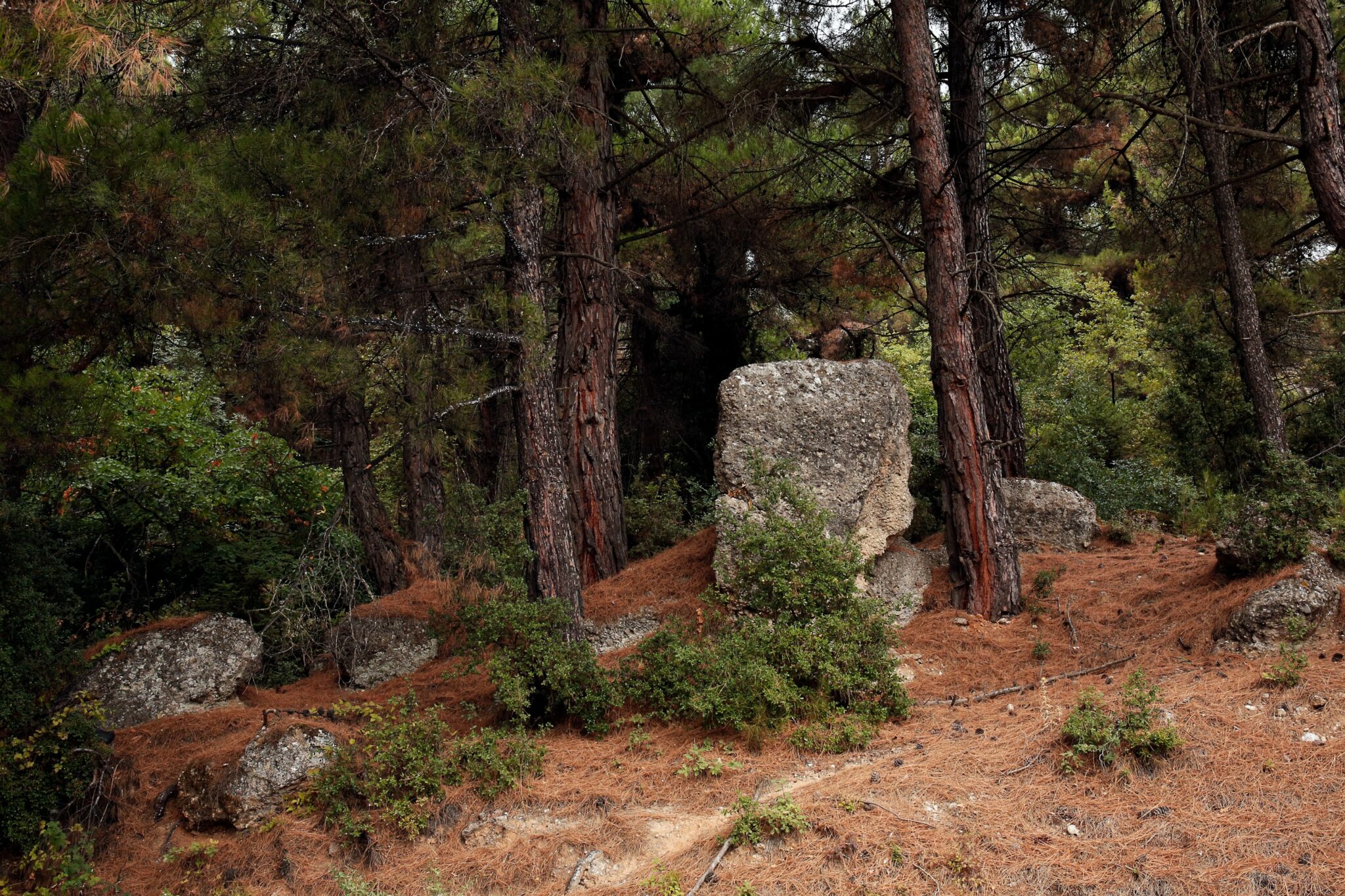 5 μονοήμερες κοντά στην Αθήνα για να βρεις την ηρεμία σου 22 %CE%9C%CE%BF%CE%BD%CE%BF%CF%80%CE%AC%CF%84%CE%B9 %CF%83%CF%84%CE%B1 %CE%9A%CE%AC%CF%84%CF%89 %CE%A4%CF%81%CE%AF%CE%BA%CE%B1%CE%BB%CE%B1