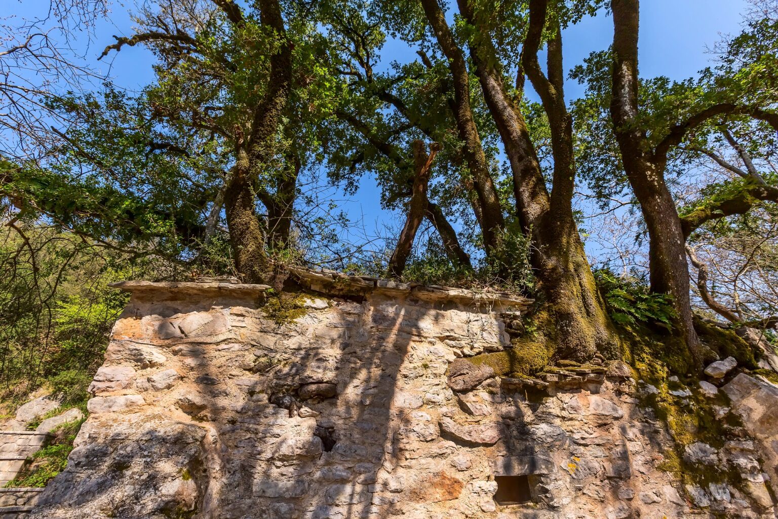 Theodora Tree Vasta: the village in Arcadia, Greece with the very strange chapel ...