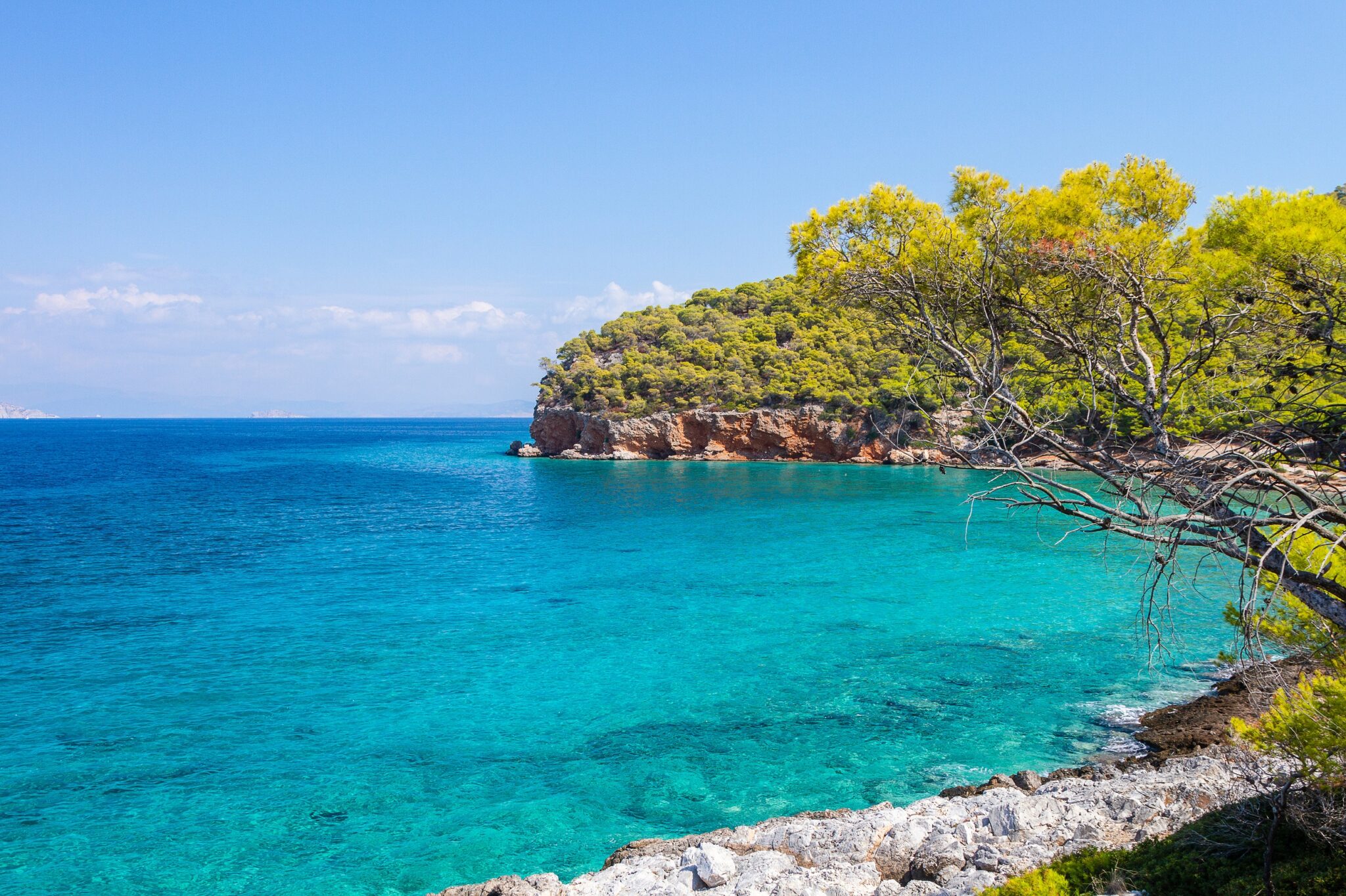 Αγκίστρι: Θάλασσες που θυμίζουν Ιόνιο, πεύκα και ειδυλλιακά μαγαζιά μόλις μία ώρα μακριά από την Αθήνα | travel.gr