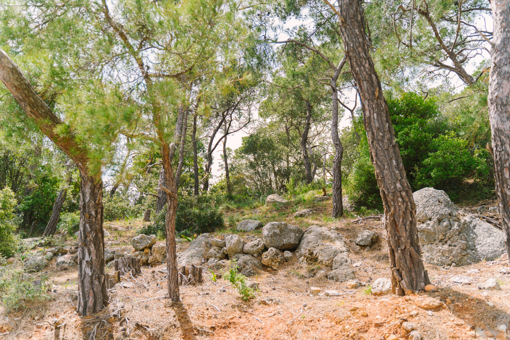 Λασίθι: Ένα μοναδικό οδοιπορικό στη λίμνη Μπραμιανών και στα γραφικά γύρω χωριά - ΕΛΛΑΔΑ