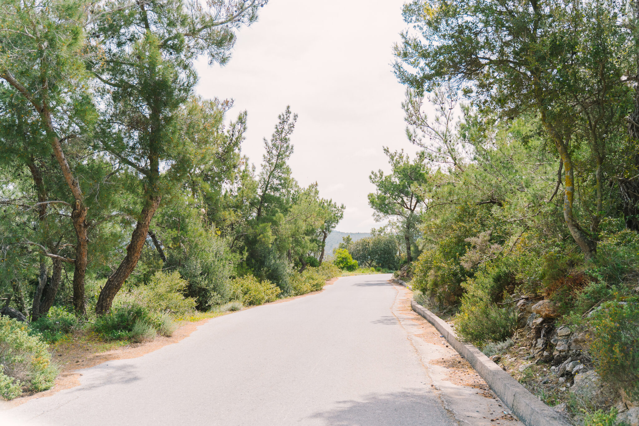 Λασίθι: Ένα μοναδικό οδοιπορικό στη λίμνη Μπραμιανών και στα γραφικά γύρω χωριά - ΕΛΛΑΔΑ