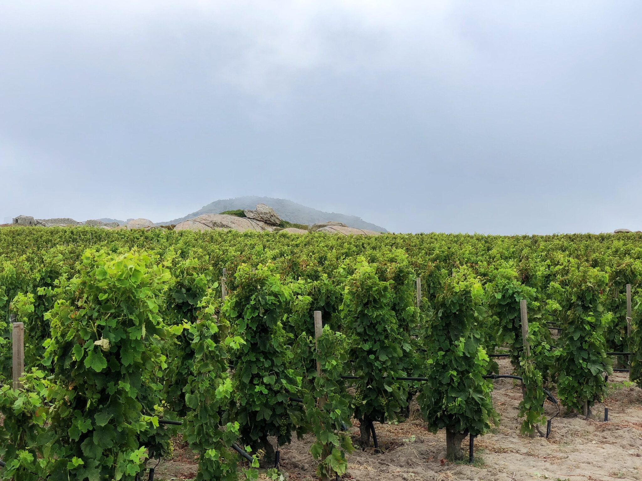 Tinos, Ideal for Exploration beyond Summer| travel.gr