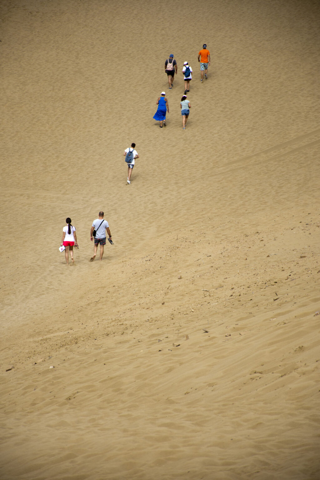 a group of people walking up a hill