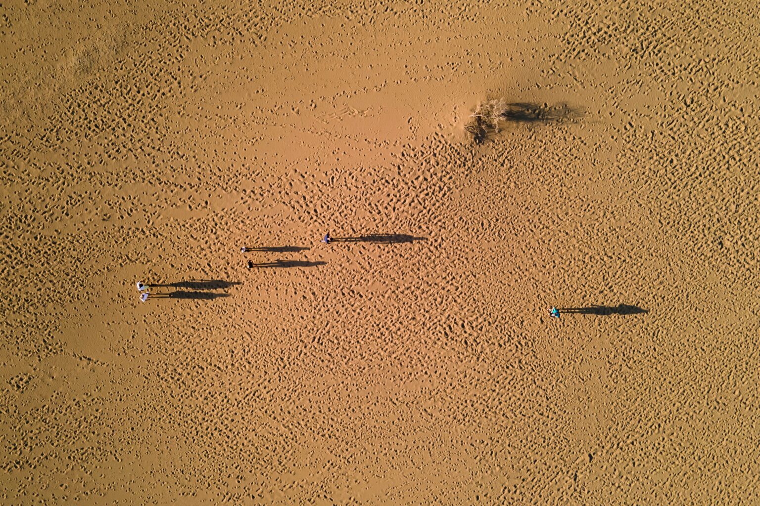 a group of people walking on a sandy beach