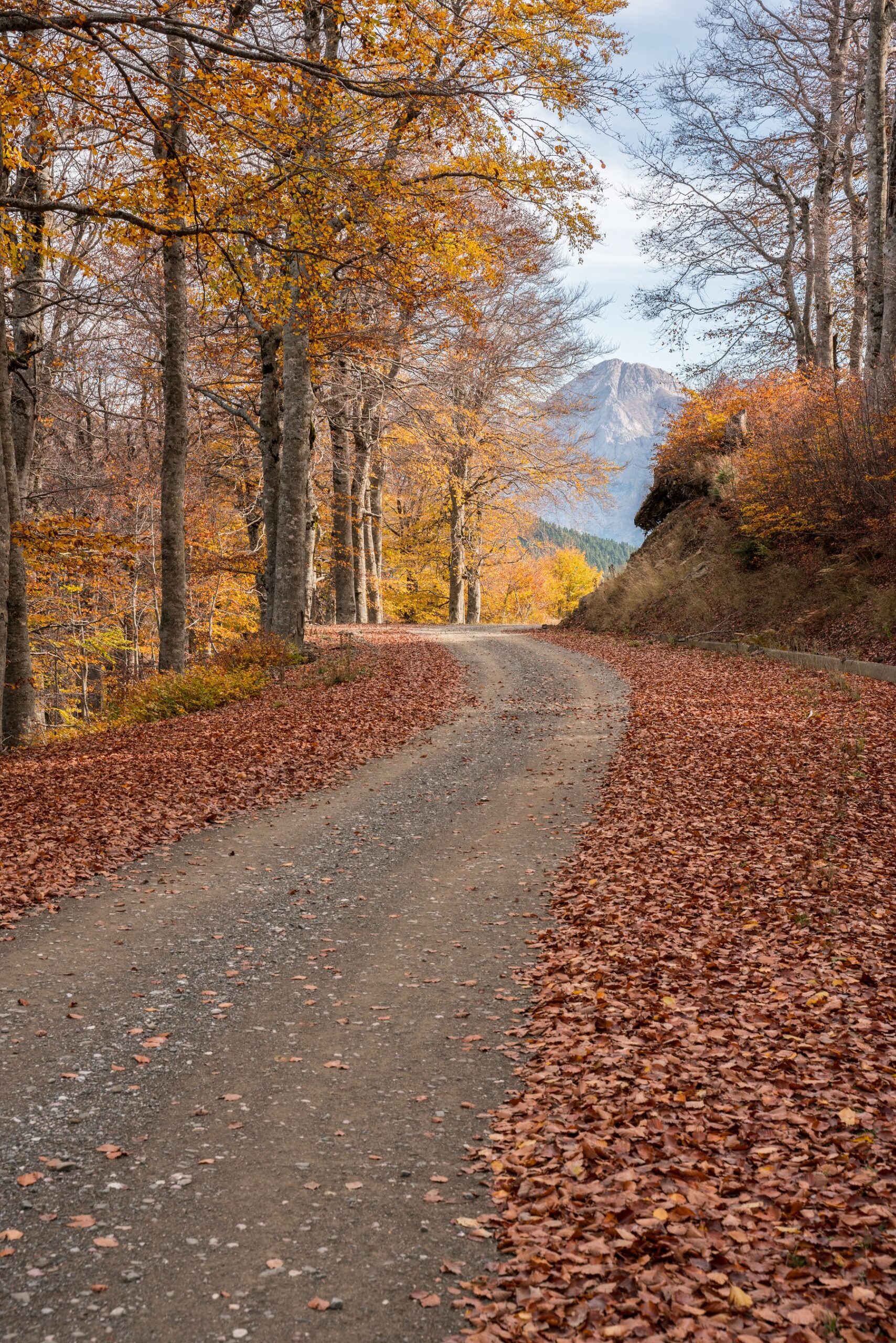 Γραμμένη Οξυά: Το χωριό με τις πέτρινες βρύσες, που μοιάζει να αναδύεται από το δάσος της Ορεινής Ναυπακτίας