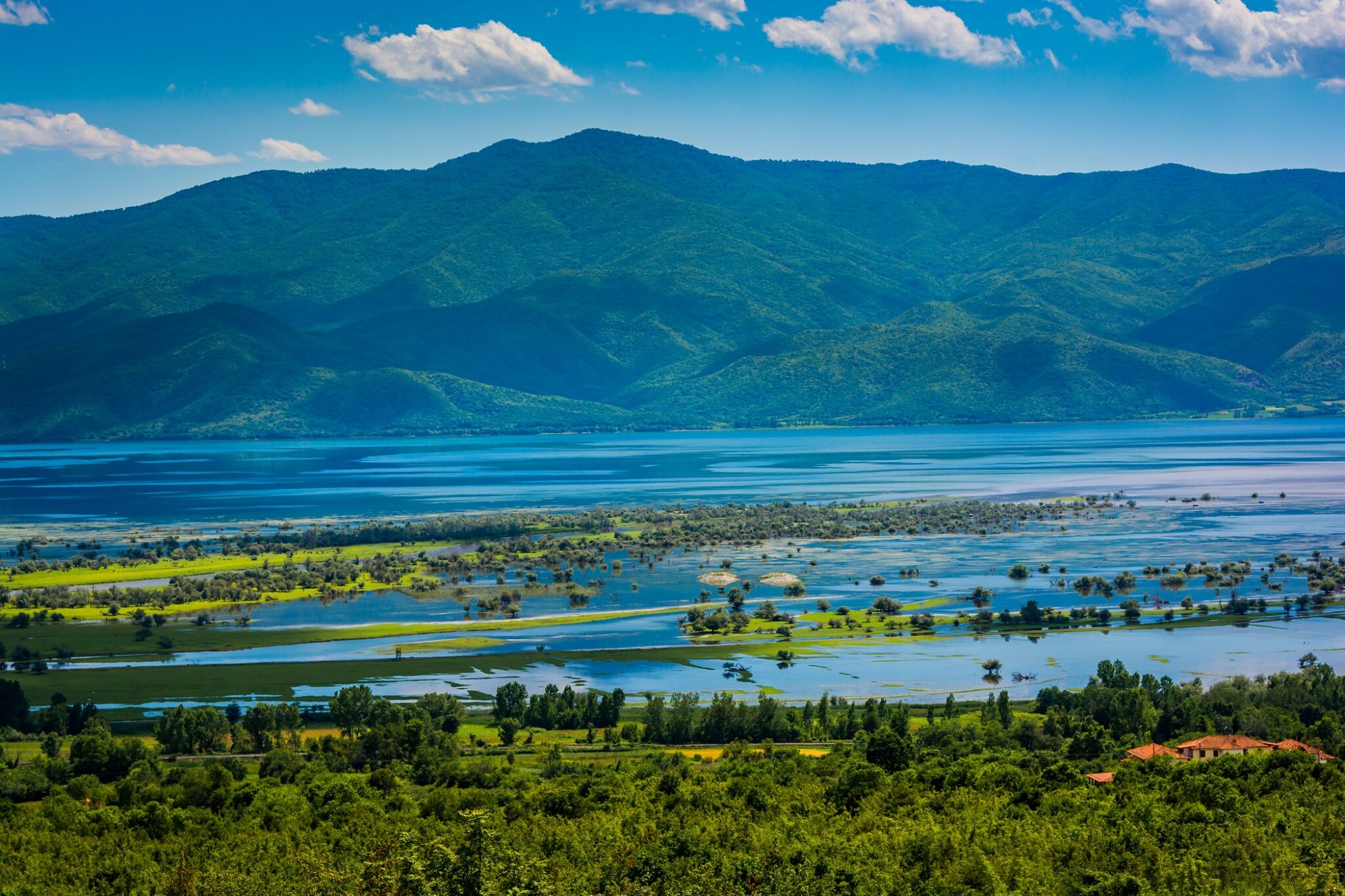 Большие реки греции. Озеро Вегоритис Греция. Керкини. Lake Kerkini. Kerkini озеро.