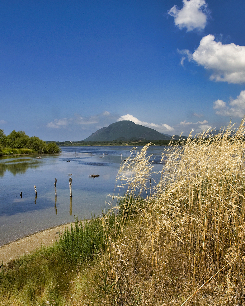 The Lagoon in Corfu with Sand Dunes and a Cedar Forest| travel.gr