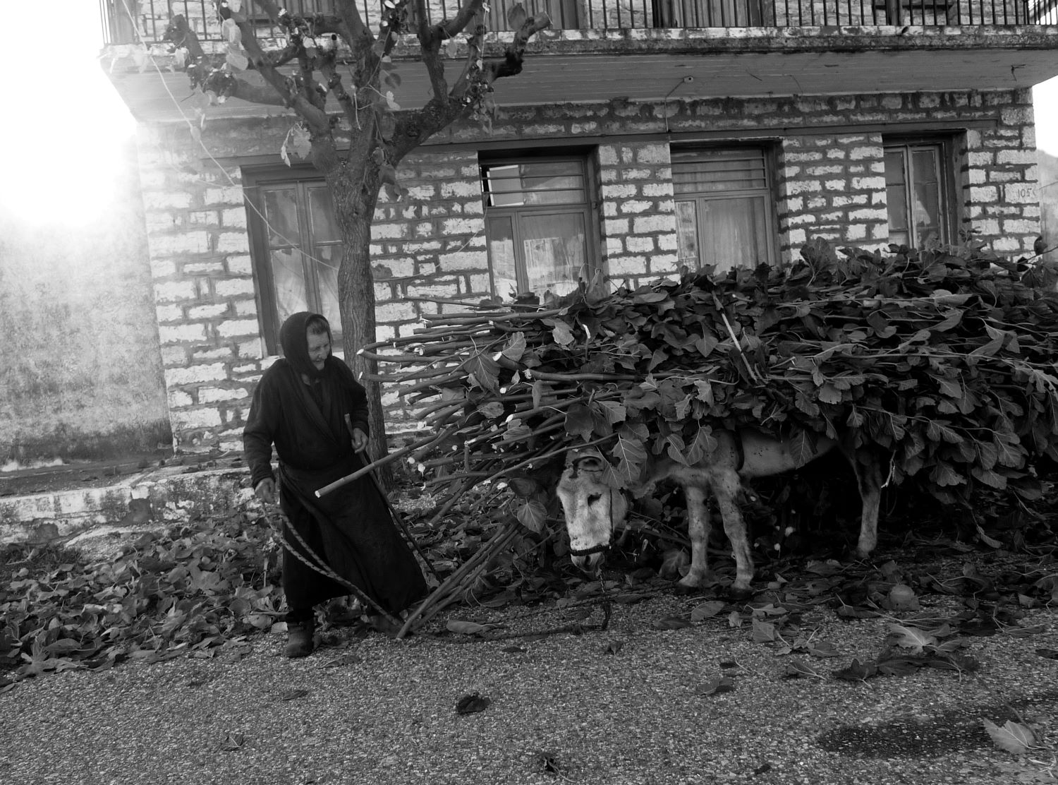 12_Eikona-apo-alles-epoches-sto-Petrochori_%C2%A9NikosGMastropavlos_EudemoniaGR_L1480856_XII.jpg