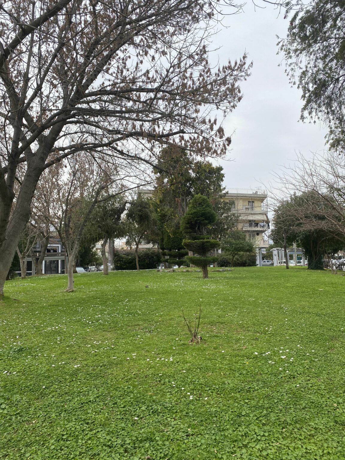 Μπουρνάζι και Περιστέρι: Ένας γαστρονομικός προορισμός