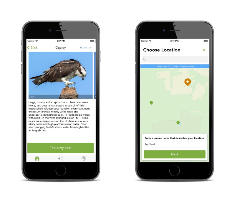 A New Kind of Tweeting: New App Revolutionizing Bird ID| travel.gr