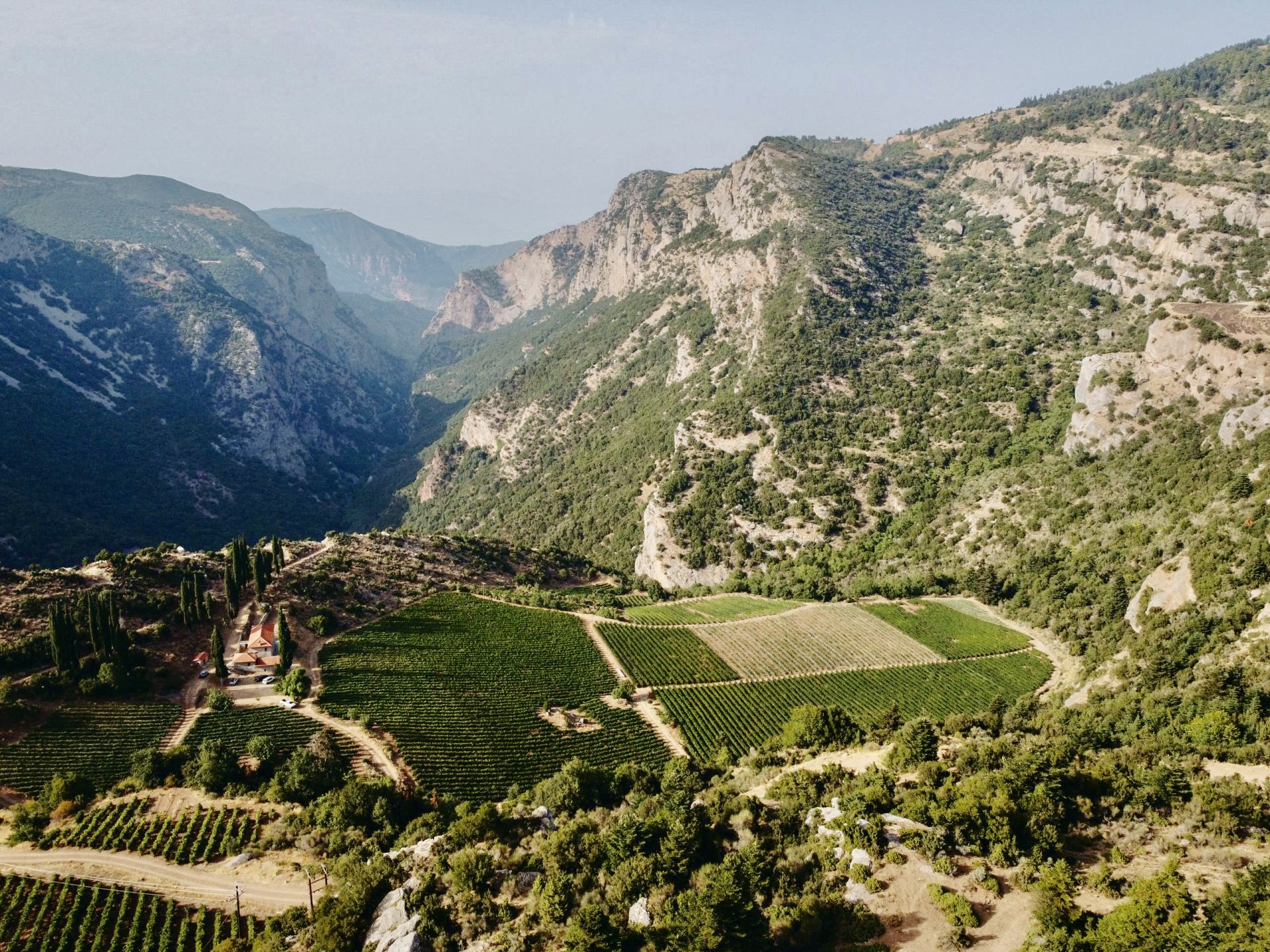 The Wineries / Mega Spileo Estate