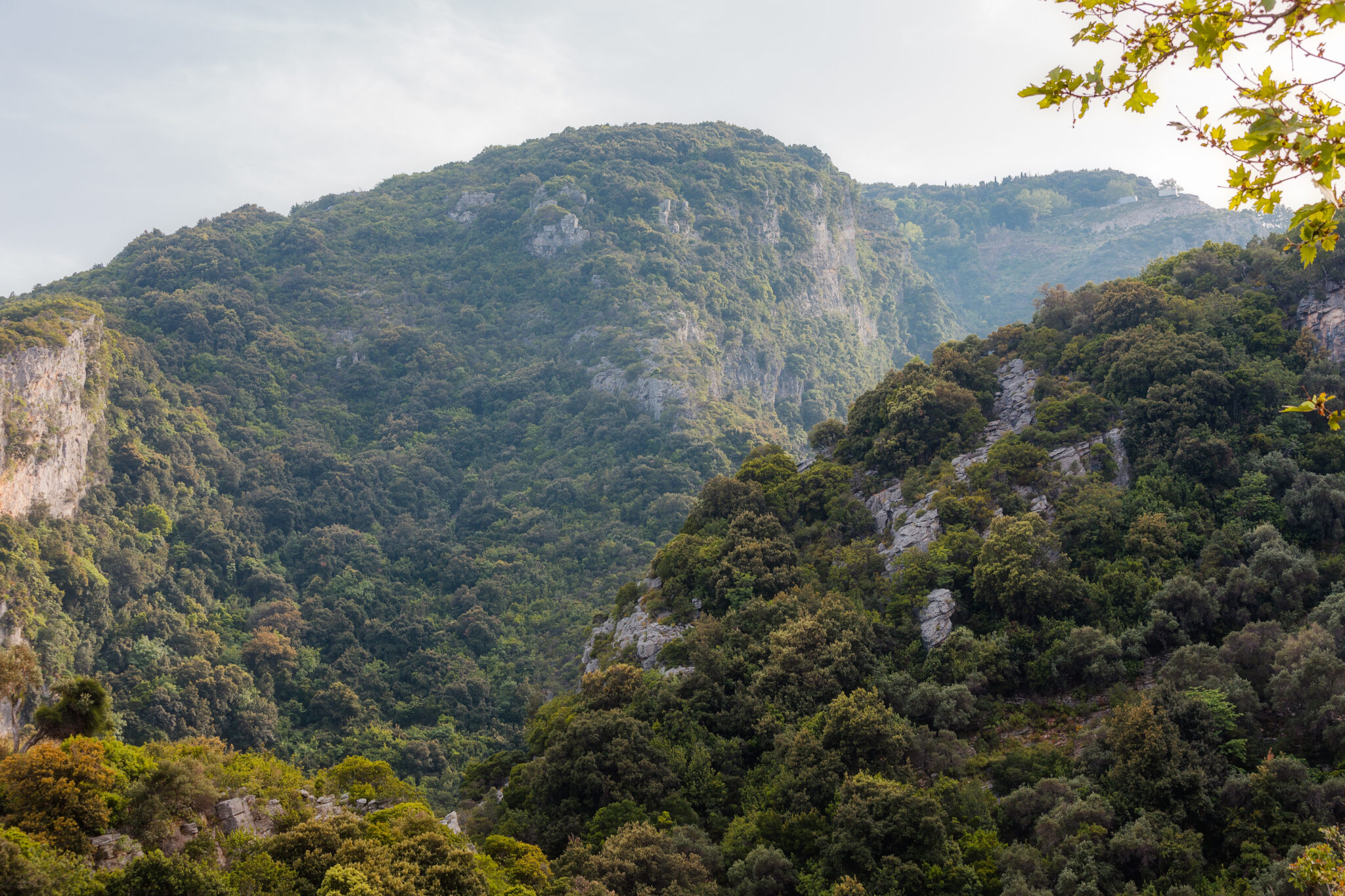 View of Mountain Hills from Pelion / Shutterstock