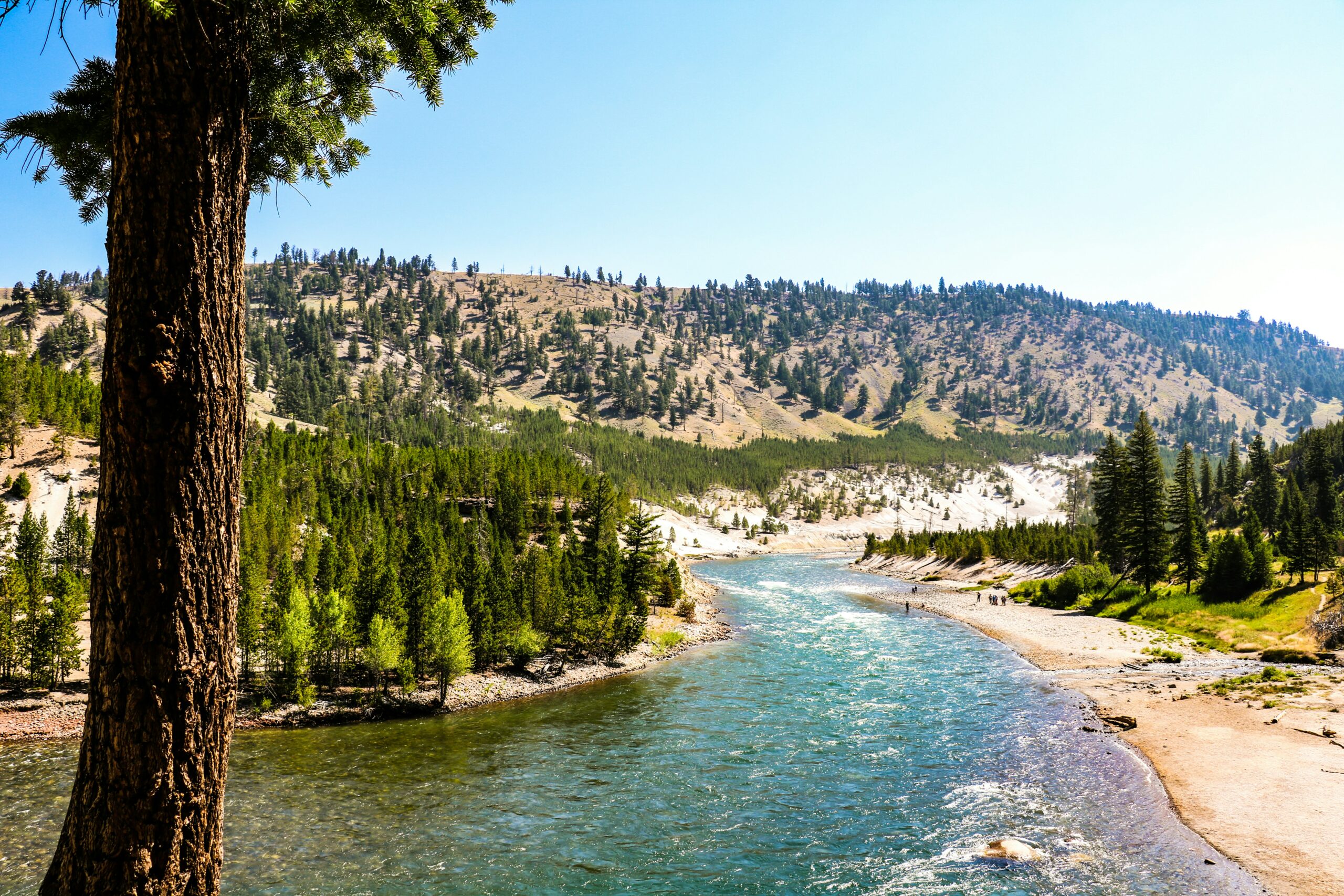 Yellowstone: Το συναρπαστικό Εθνικό Πάρκο της Αμερικής | travel.gr