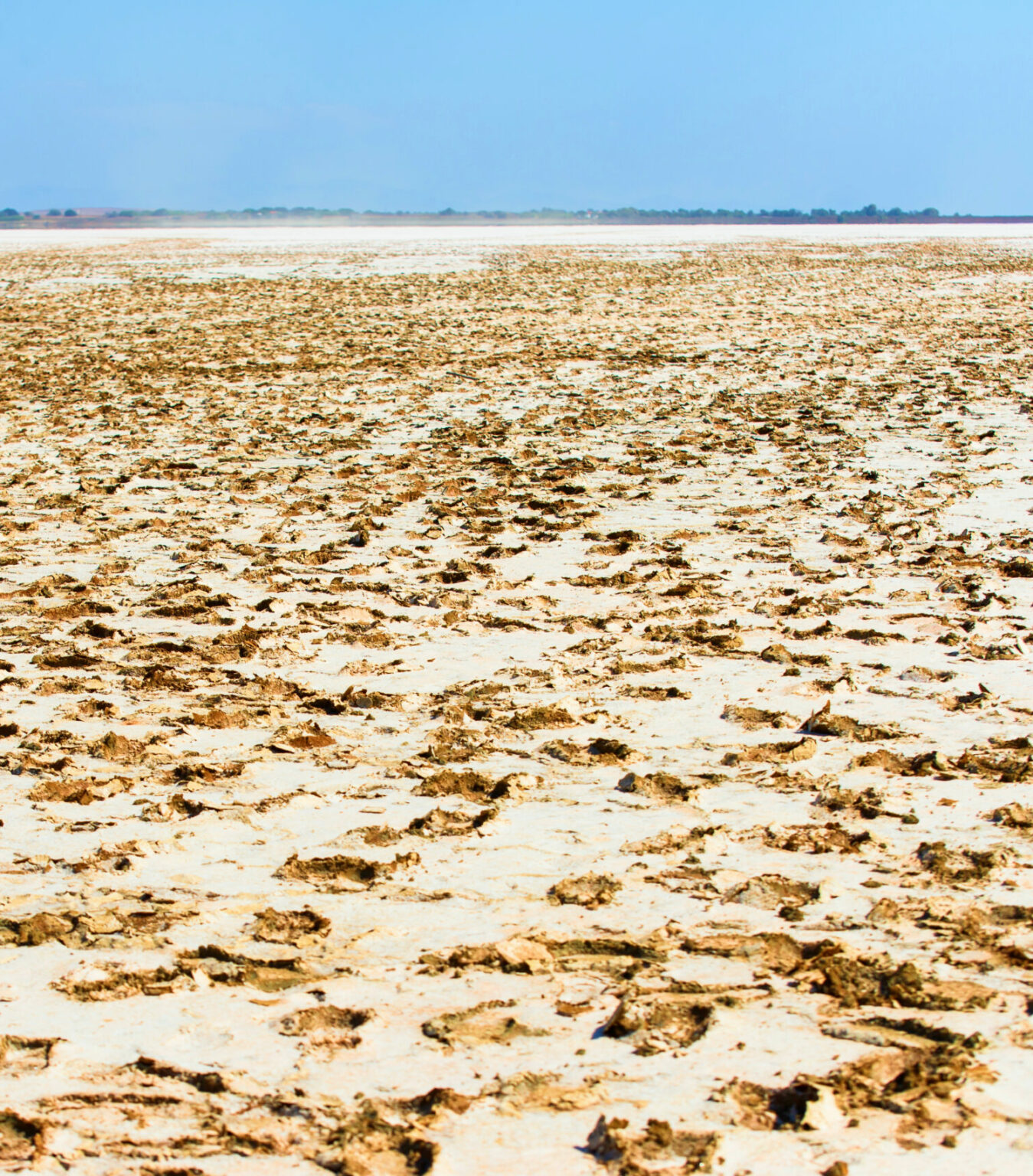 a large flat ground with footprints in it