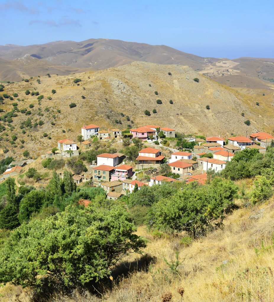 a group of houses on a hill