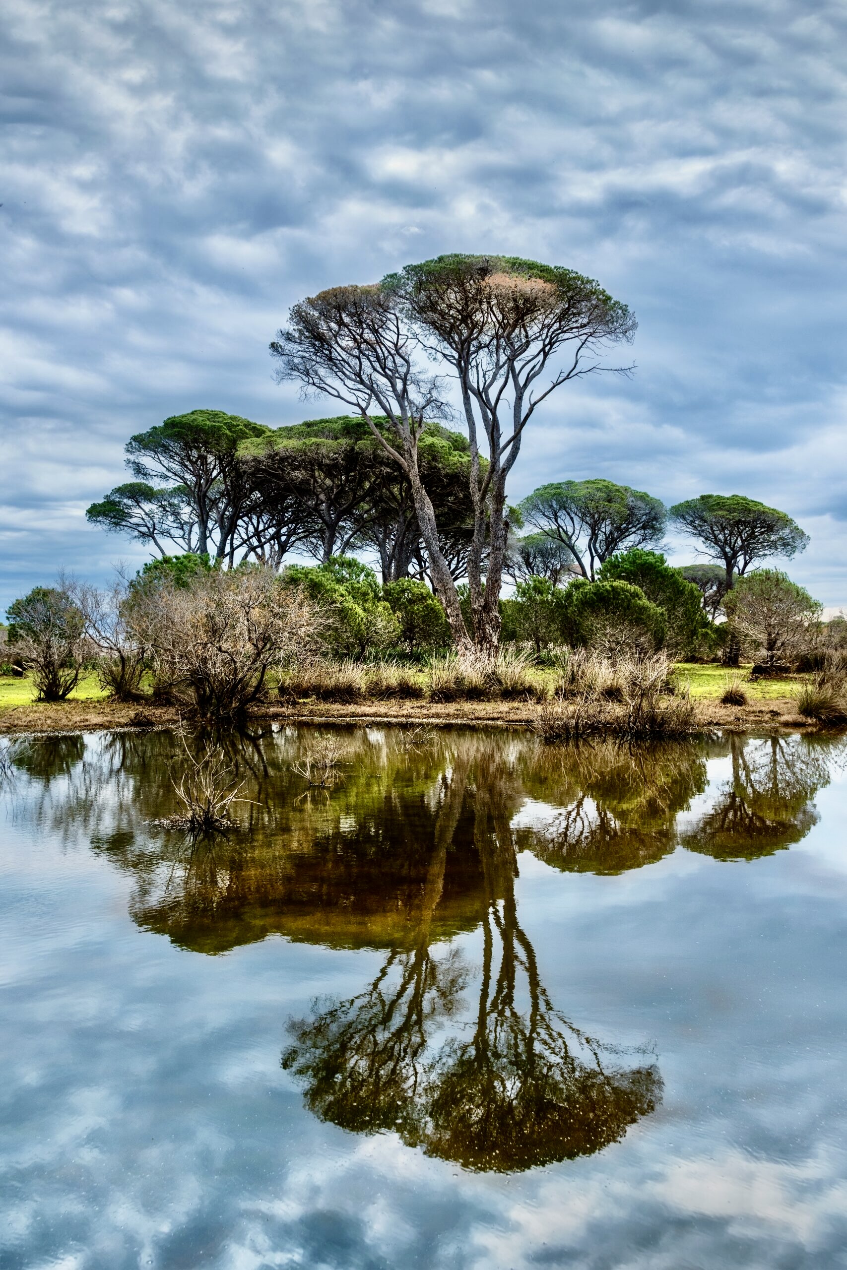 Strofylia National Park