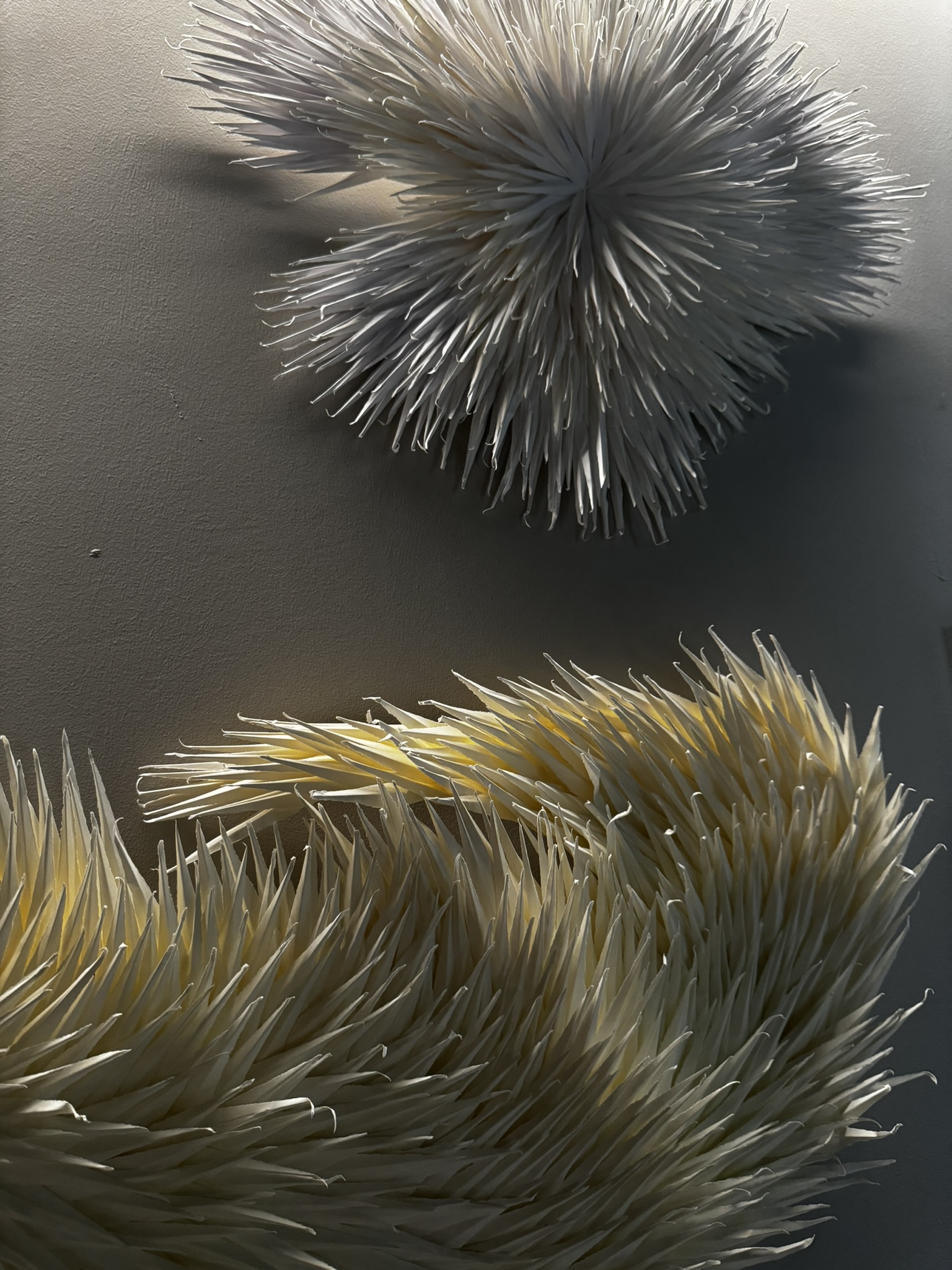 2023 Finalist Ami Yamasaki,