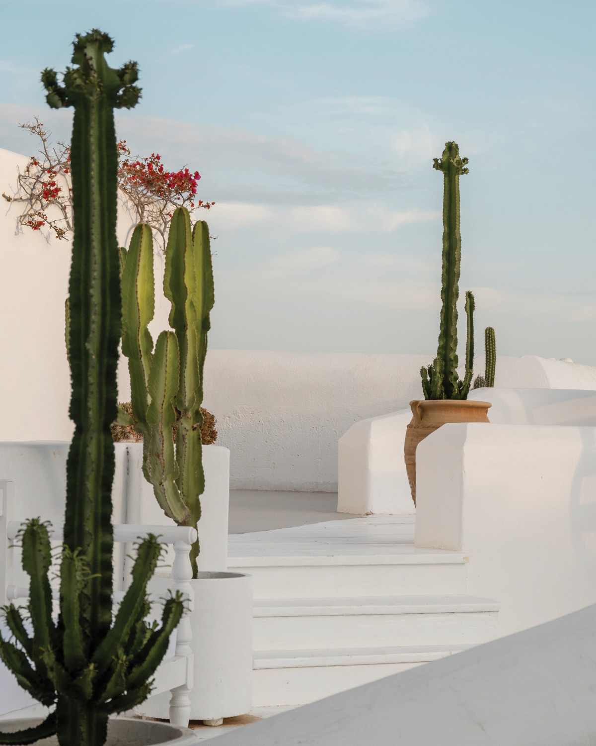 Mykonos in September: Your Guide to Greece