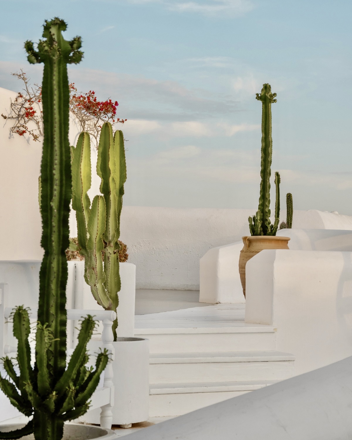 Mykonos in September: Your Guide to Greece