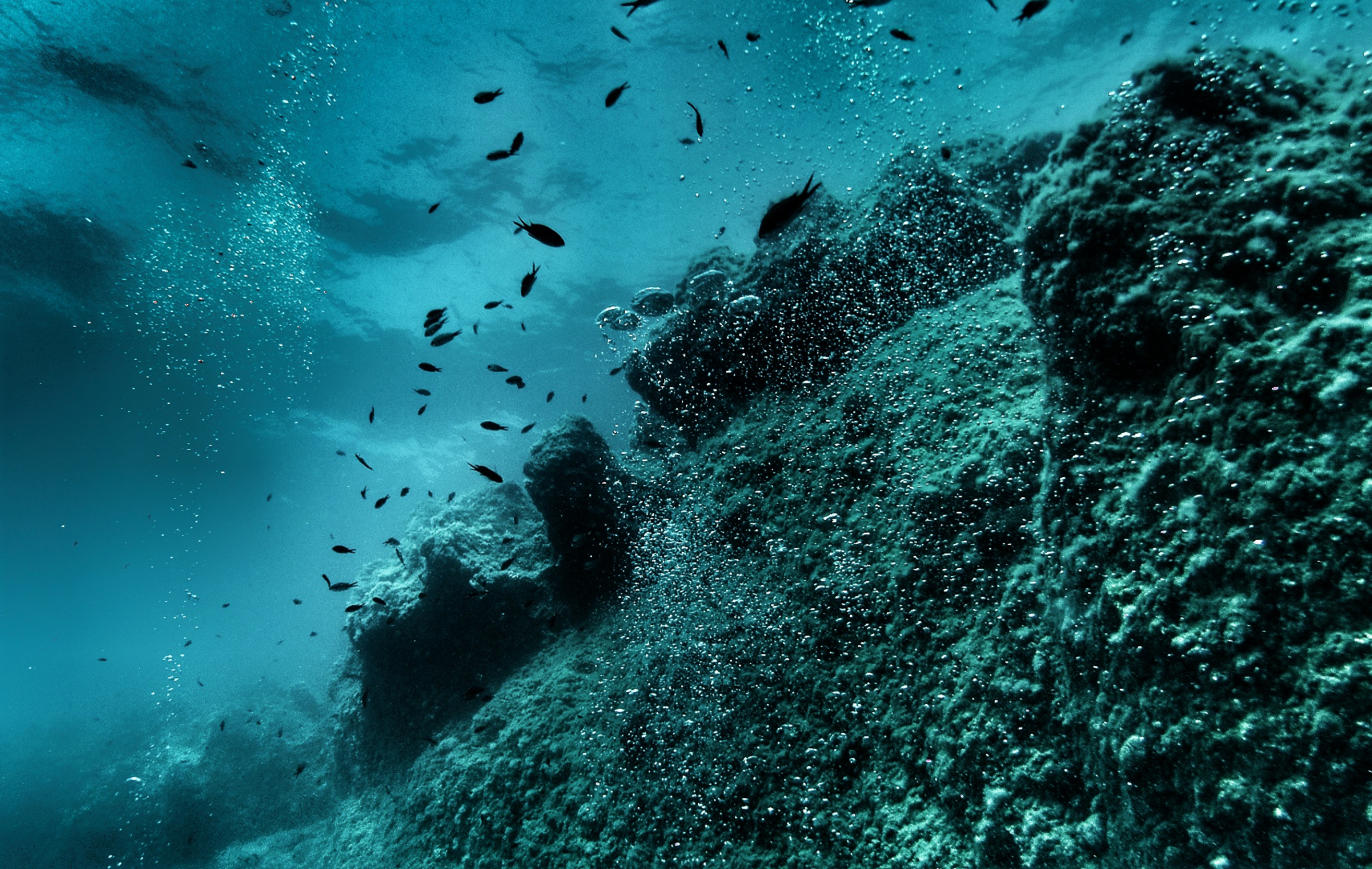 Scuba diving στην Αγία Πελαγία
