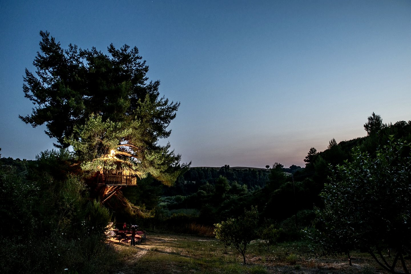 10 Unique Treehouses in Greece / Kotsifas Estate