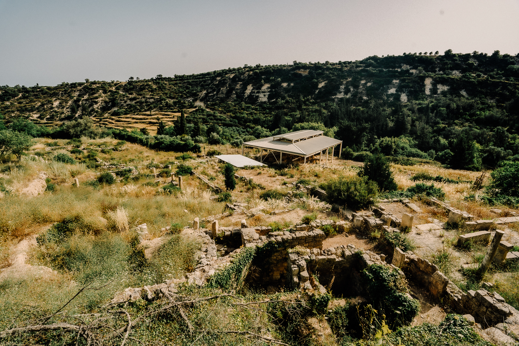Αρχαία Ελεύθερνα
