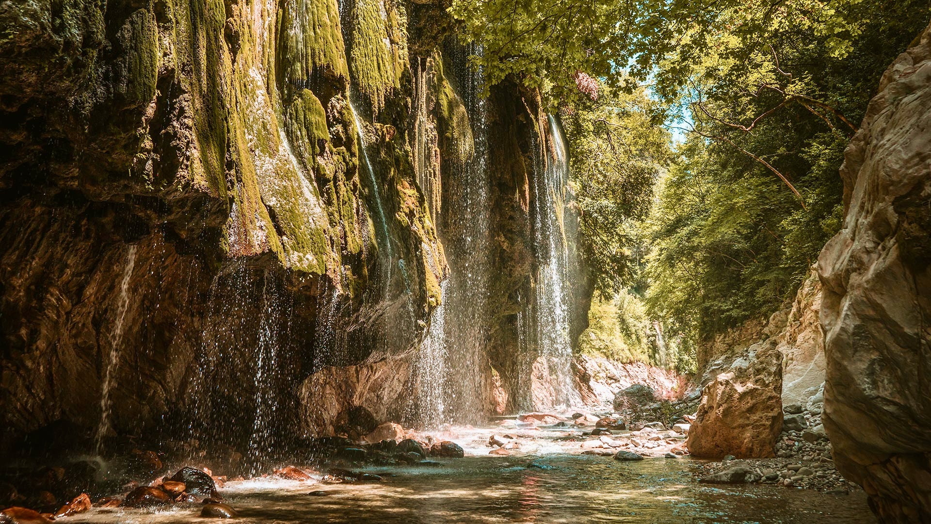 Best Hotels In Nature Kids Love / Ninemia