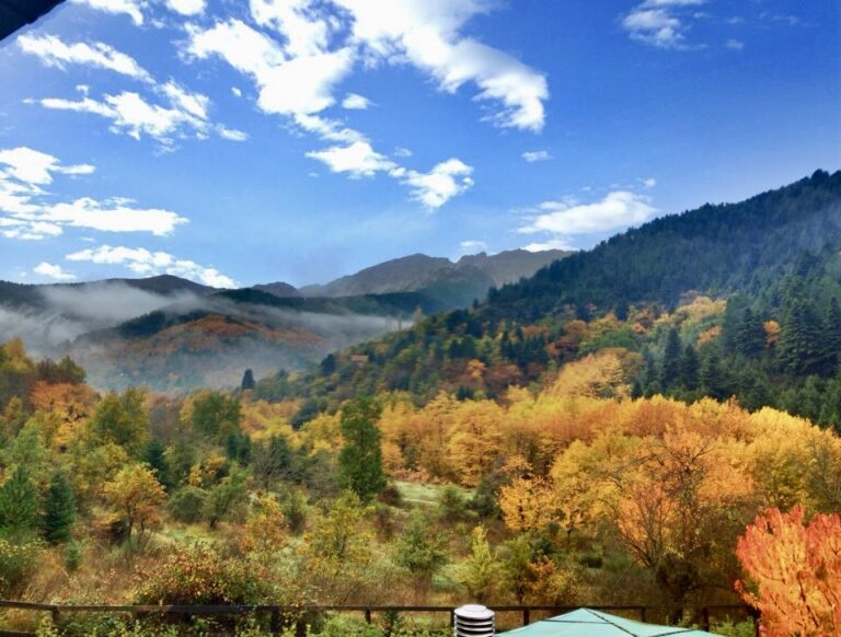 Best Hotels In Nature Kids Love / Nymfes