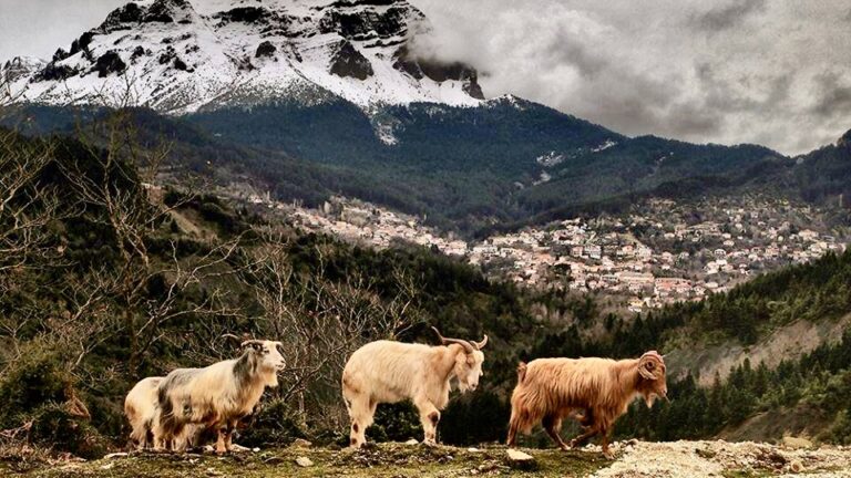 7 Top Guesthouses in Tzoumerka: A Must-Discover Destination