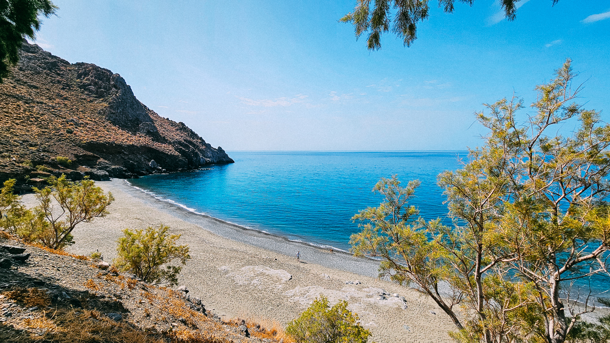 Δισκός 