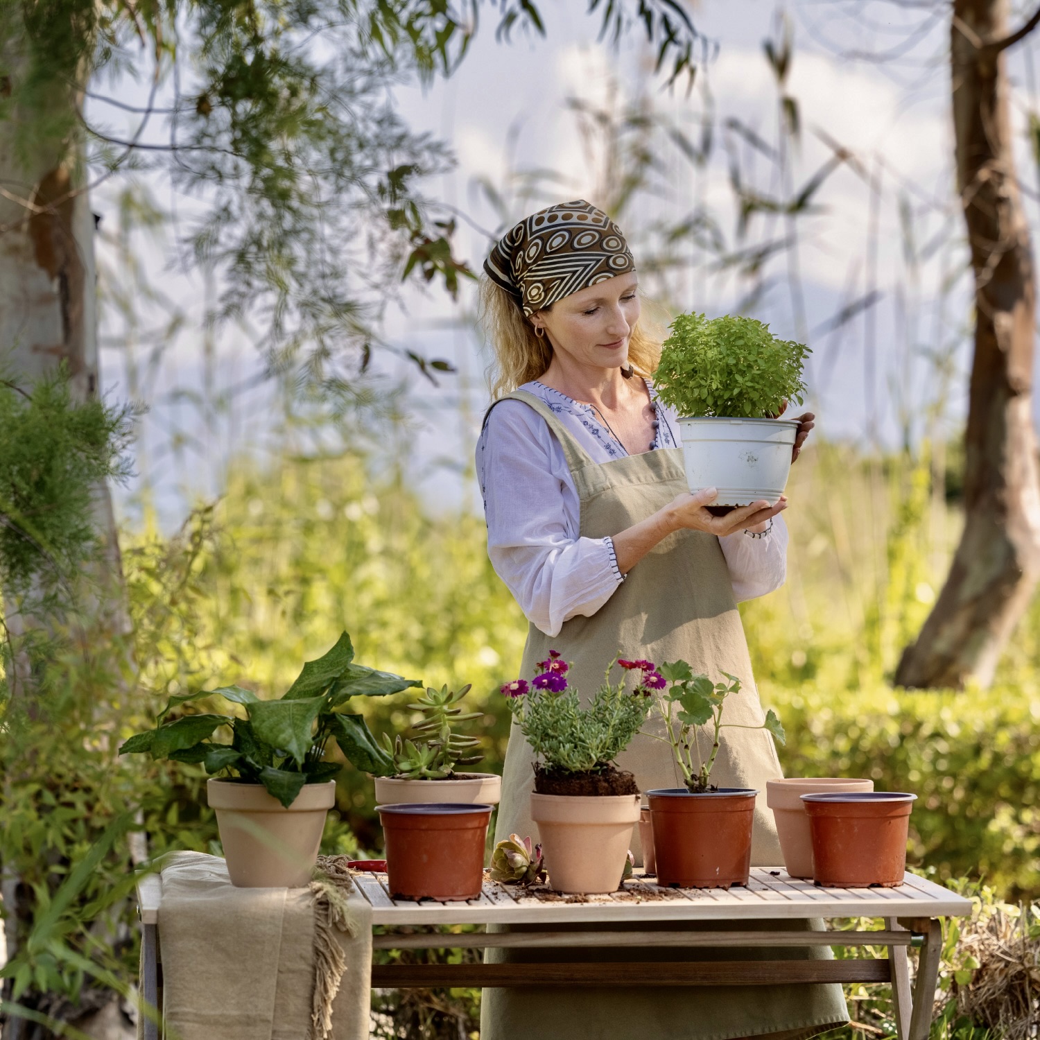 Corfu in Autumn / Costa Botanica