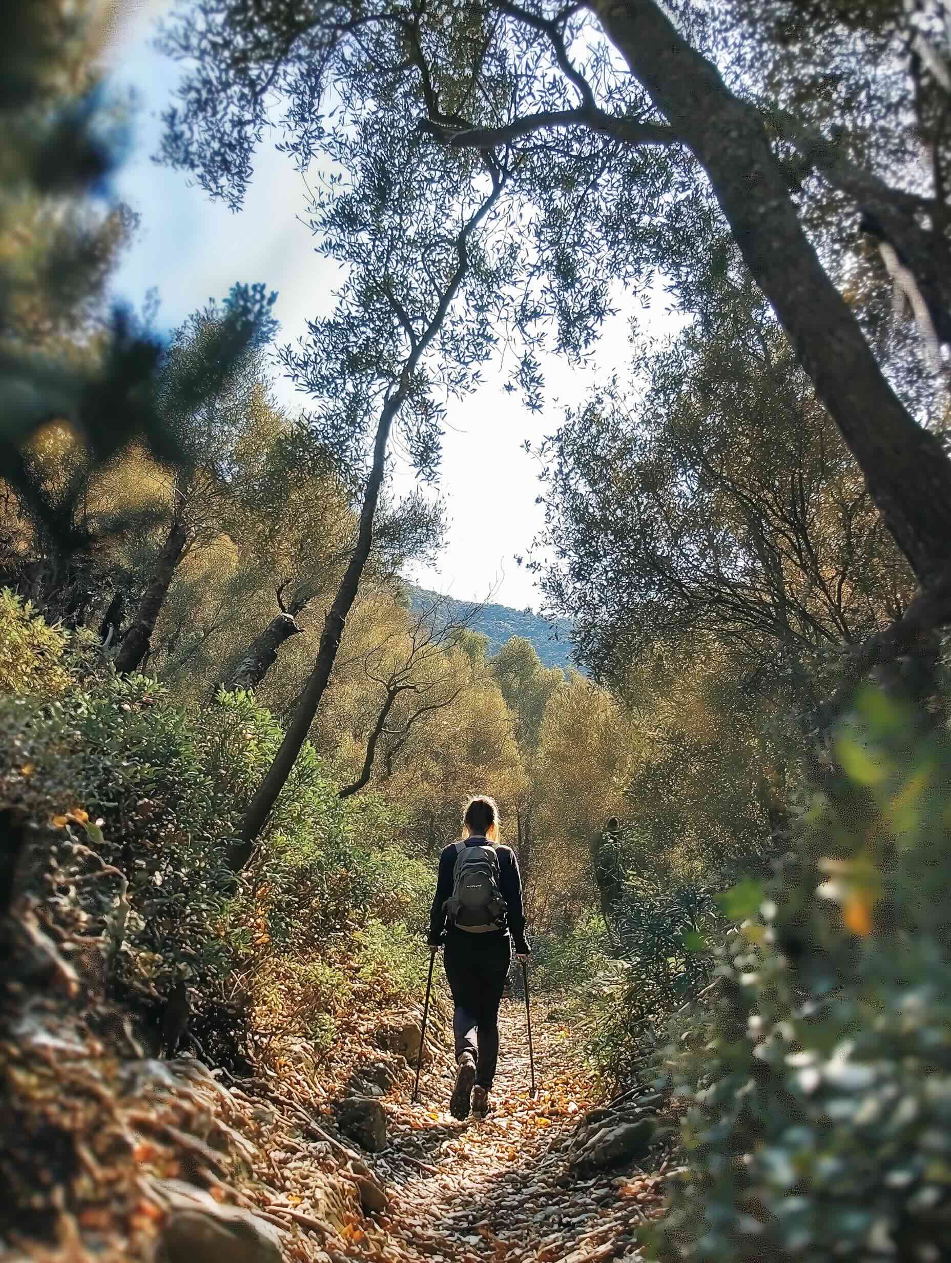 Top Hiking Trails in Pilio