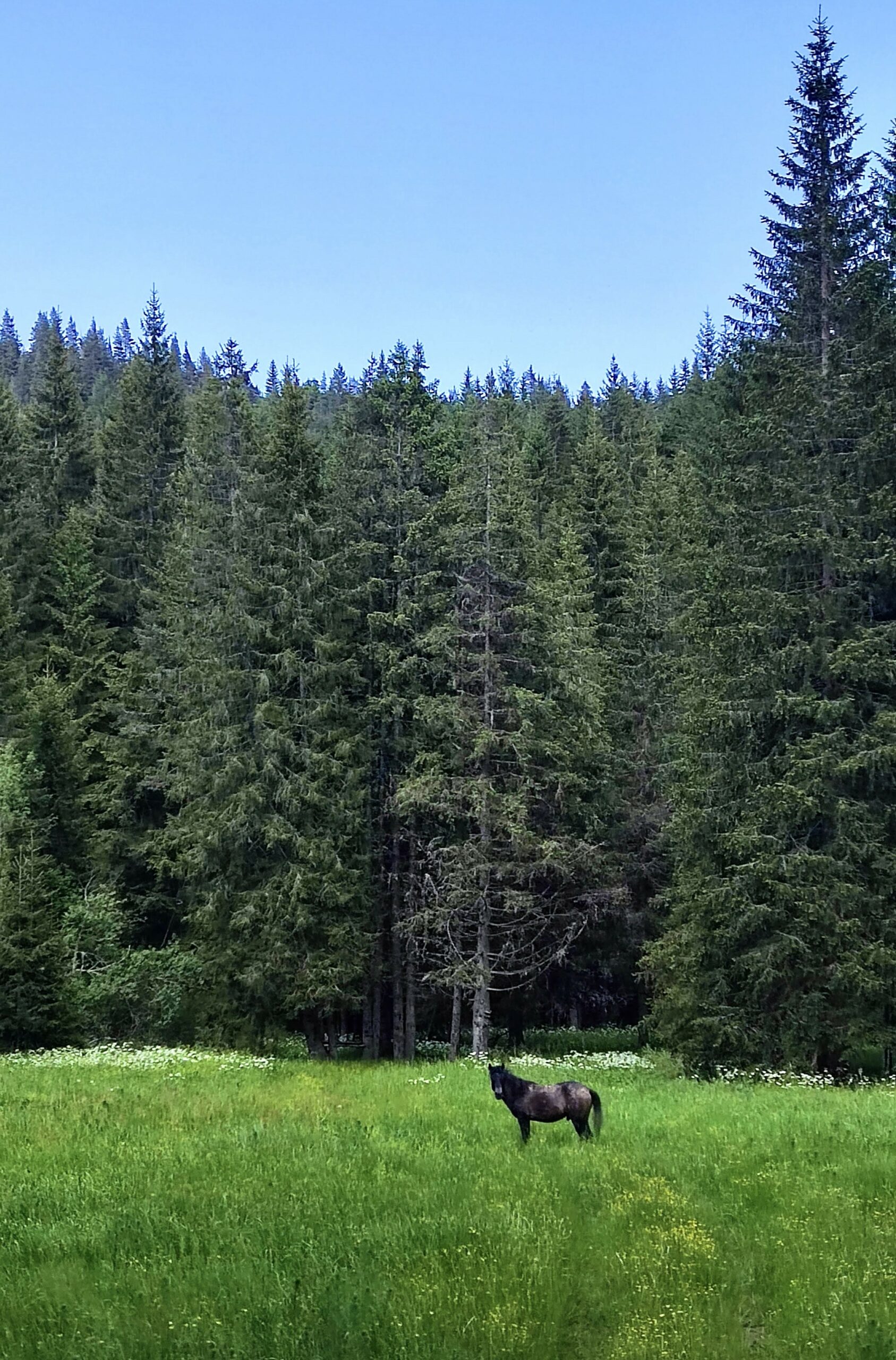 Η Δράμα της Φύσης / 72 ώρες στη Δράμα / Drama: A Marvel of Nature / 72 hours in Drama