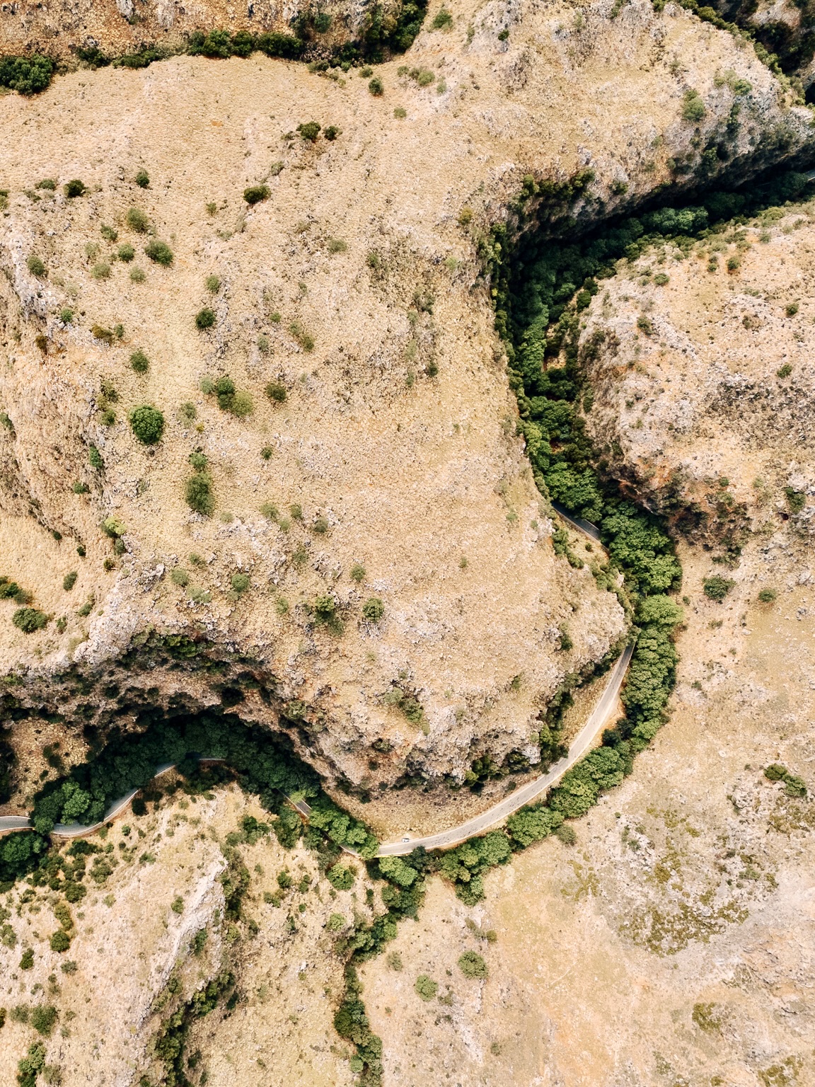 Top Experiences in Chania