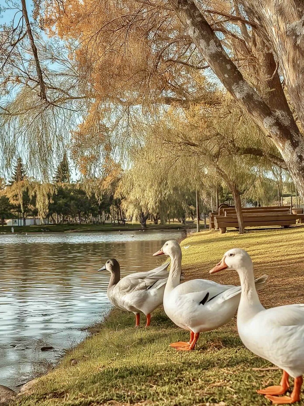 Where to Go in Greece Now / November