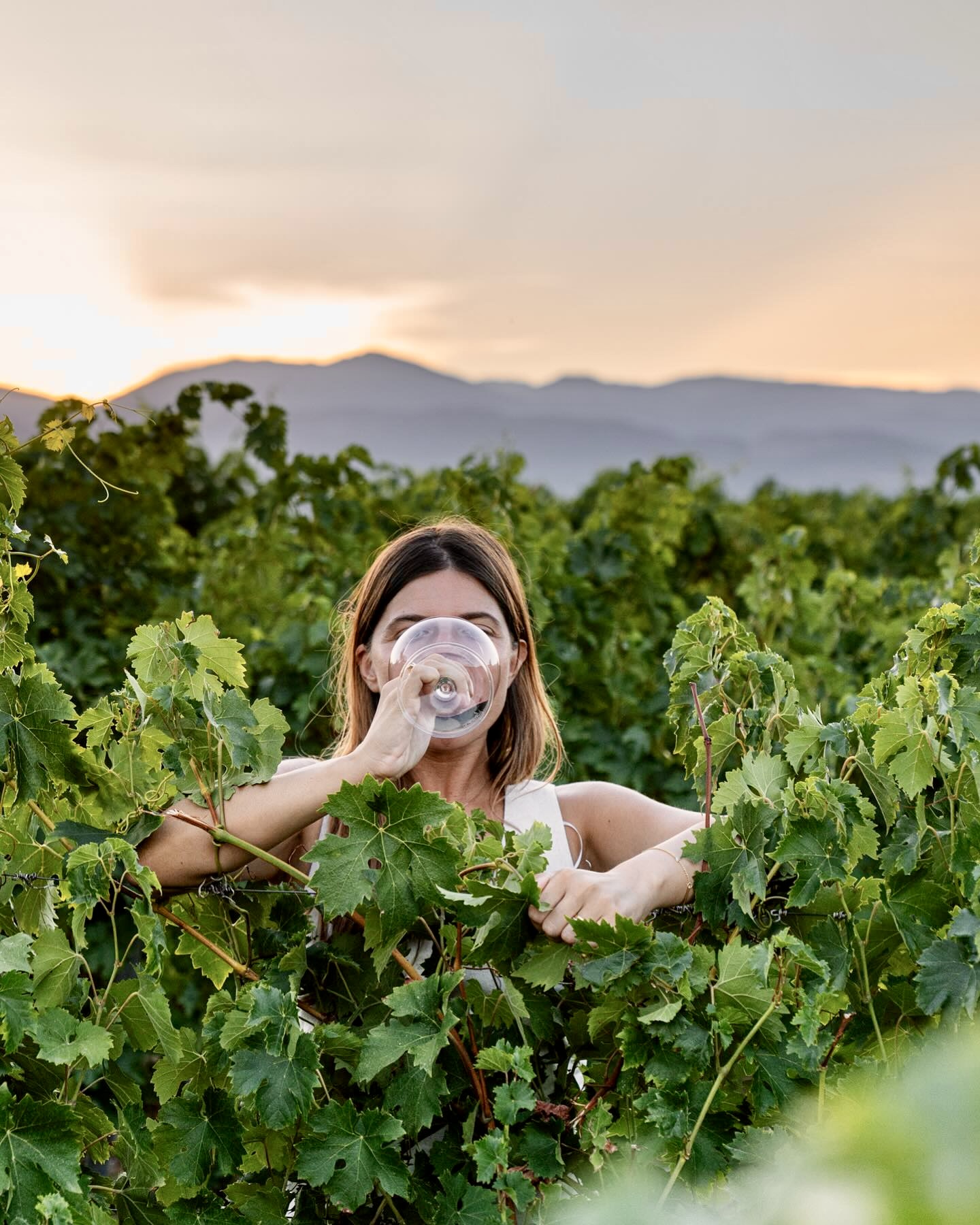 Best Agritourism Retreats in Greece