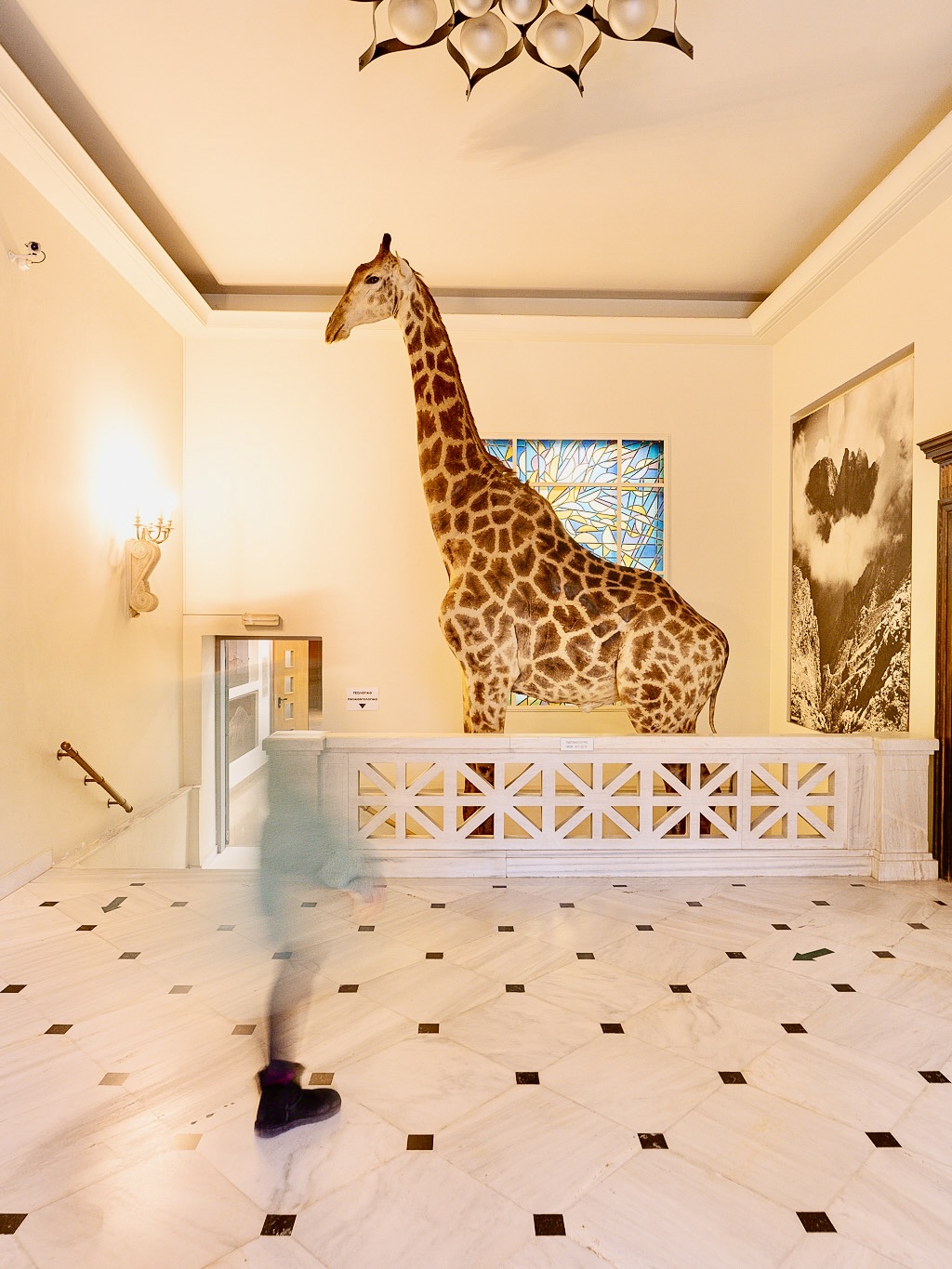 Best Activities for Kids in Athens / Natural History Museum