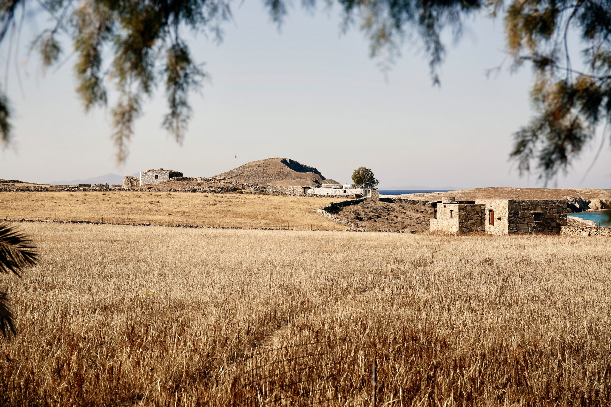 Rineia: Mykonos