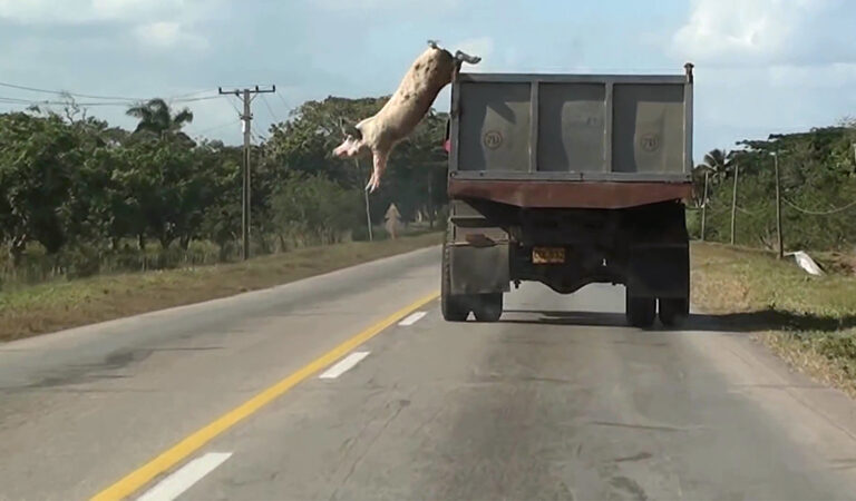 Tiziana Pers, "Saut dans le vide", 2016 (video still). Courtesy of the artist.