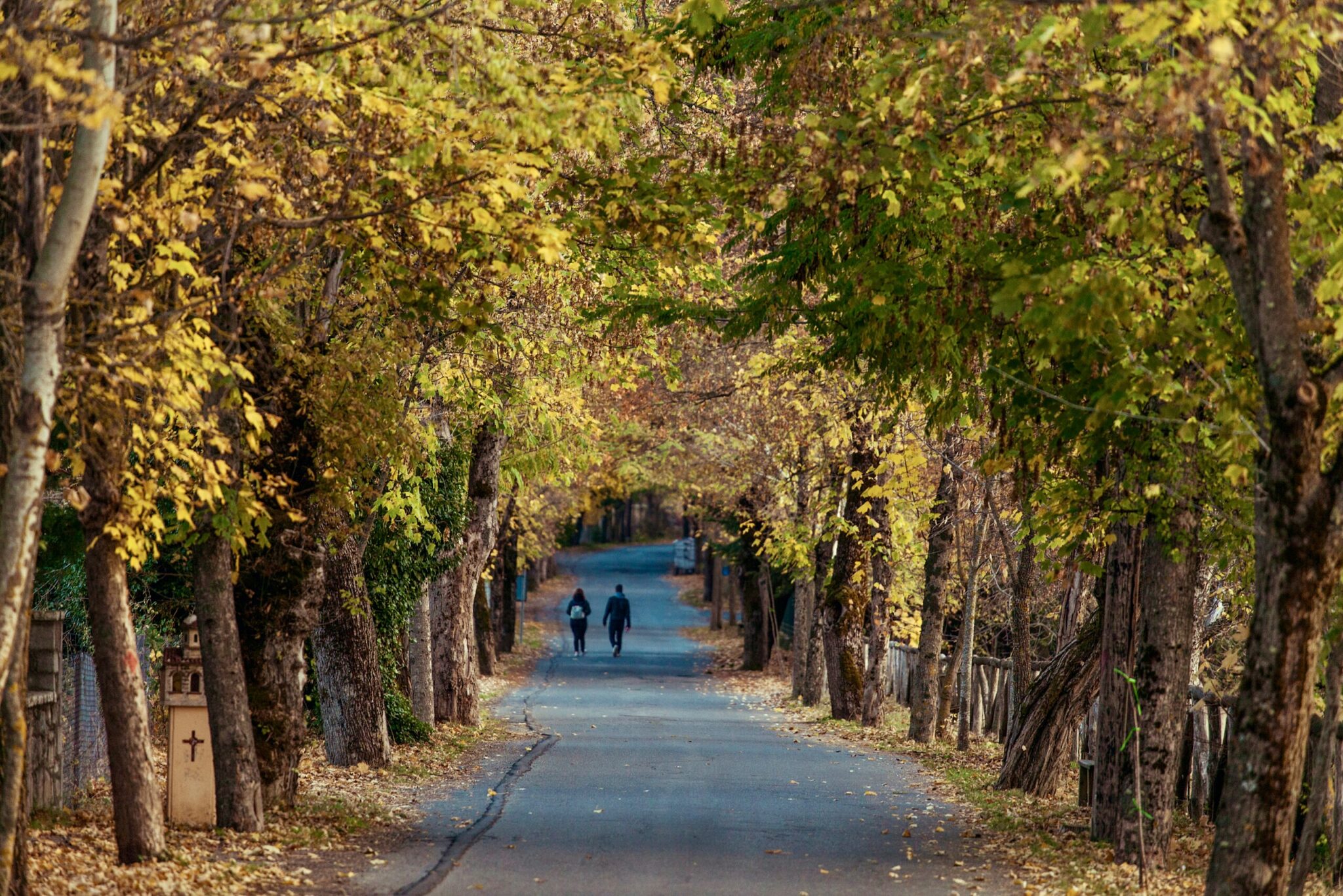 5 Road Trips in Gorgeous Peloponnesian Nature / Vytina