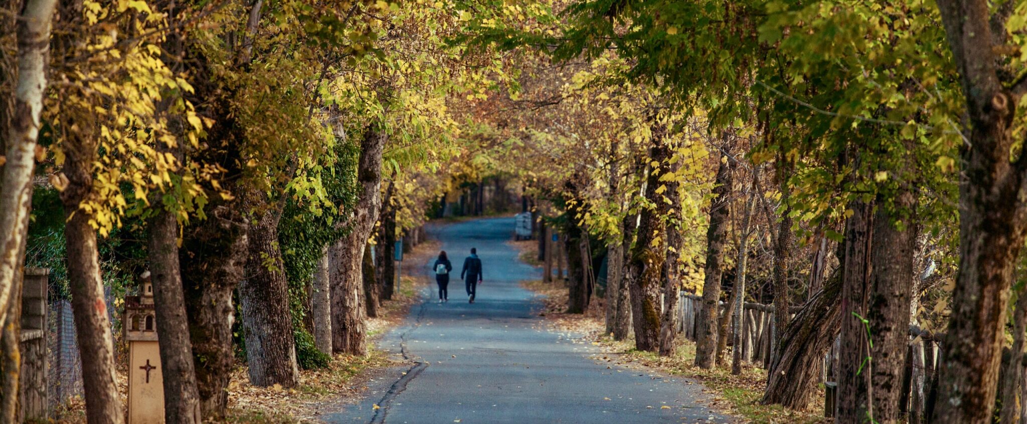 5 Road Trips in Gorgeous Peloponnesian Nature / Vytina