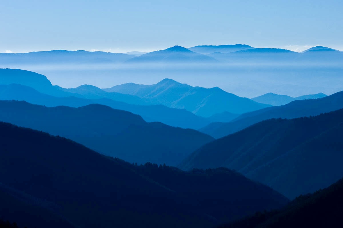 Virgin Forest / Drama