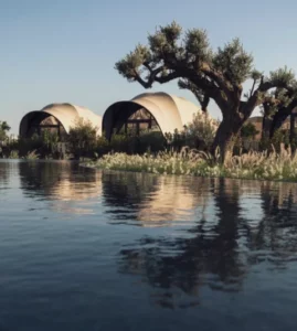 Best Athens Hotels / 91 Athens Riviera