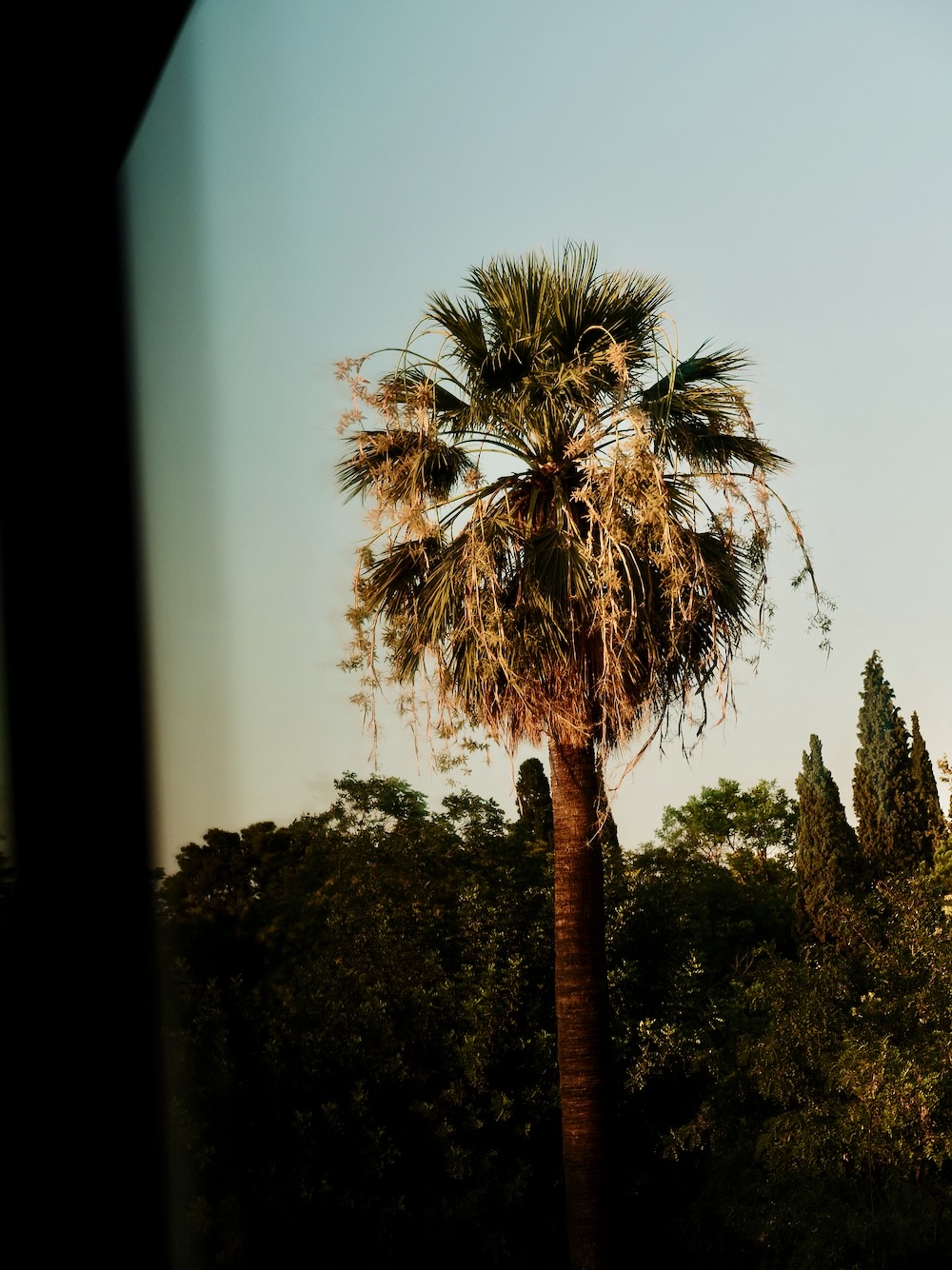 Top Courtyard Caf&eacute;s in Athens / Aigli Zappeiou