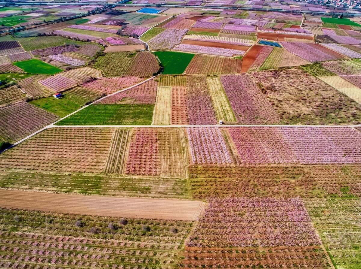4 Amazing Greek Spring Landscapes