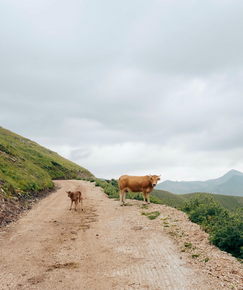 4 Amazing Greek Spring Landscapes